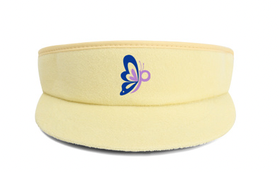 Visors