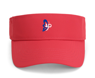Visors